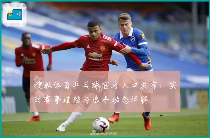 搜狐体育乒乓球官方入口发布，实时赛事追踪与选手动态详解