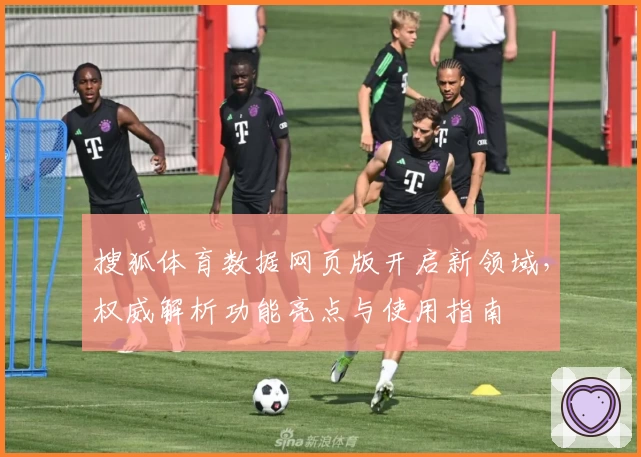 搜狐体育数据网页版开启新领域，权威解析功能亮点与使用指南