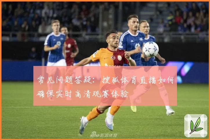 常见问题答疑：搜狐体育直播如何确保实时高清观赛体验
