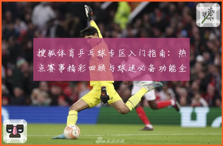 搜狐体育乒乓球专区入门指南：热点赛事精彩回顾与球迷必备功能全面体验