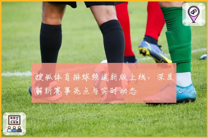 搜狐体育排球频道新版上线，深度解析赛事亮点与实时动态