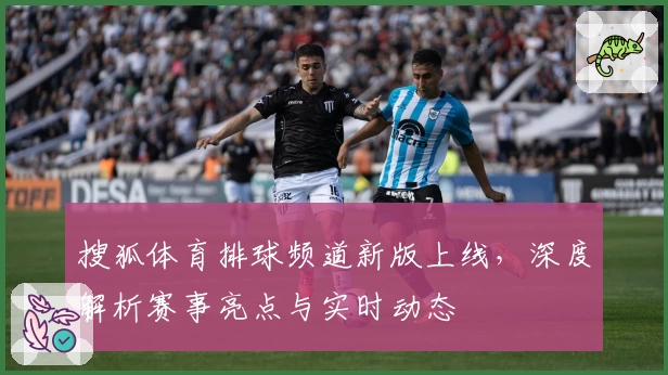搜狐体育排球频道新版上线，深度解析赛事亮点与实时动态