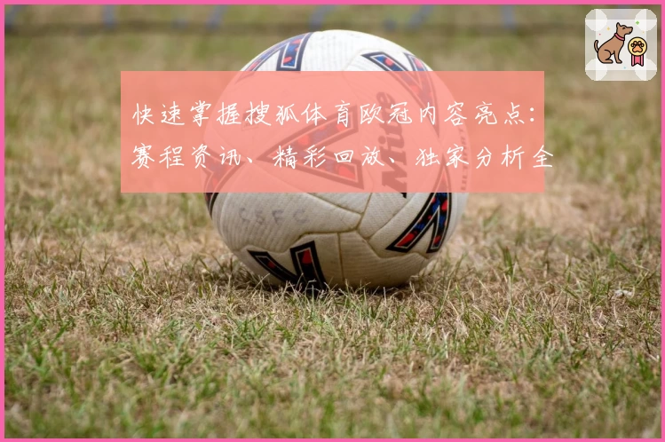 快速掌握搜狐体育欧冠内容亮点：赛程资讯、精彩回放、独家分析全覆盖