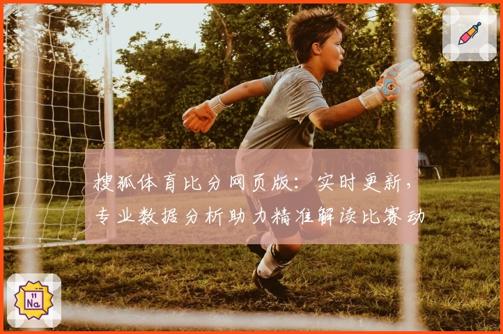 搜狐体育比分网页版：实时更新，专业数据分析助力精准解读比赛动态