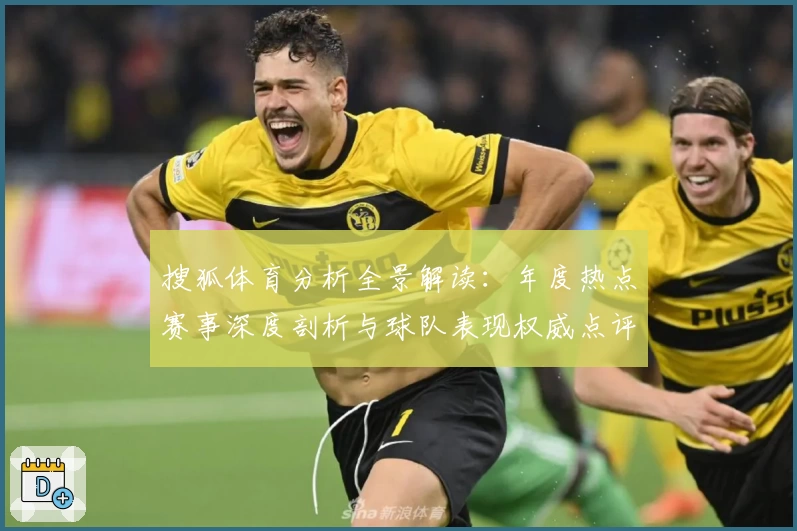 搜狐体育分析全景解读：年度热点赛事深度剖析与球队表现权威点评